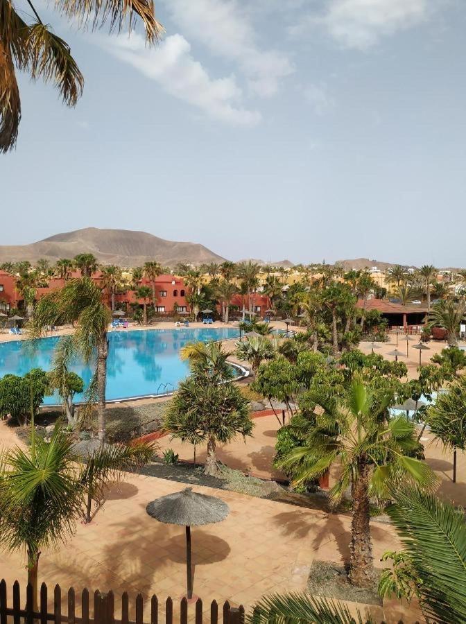 Oasis Tamarindo Poppins Pool E Terrace Apartamento Corralejo Exterior foto